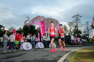 BIB: 
                            <button type="button" onclick="openModal(26529377)" class="btn btn-primary btn-sm float-right btn-popup" data-toggle="modal" data-target=".modal-high-quality">
                        <i class="fas fa-shopping-cart"></i> Add to Cart
                    </button>
                                            <button type="button" onclick="isThisMe(26529377, true)" class="btn btn-success btn-sm float-right btn-popup btn-isme hidden" data-toggle="tooltip" data-placement="bottom" title="นี่คือรูปของคุณใช่ไหม คลิกที่นี่เพื่อเอาเข้าอัลบั้ม">
                        <i class="fas fa-plus"></i> Add to album
                    </button>
                    <button type="button" onclick="isThisMe(26529377, false)" class="btn btn-warning btn-sm float-right btn-popup btn-isnotme hidden">
                        <i class="fas fa-ban"></i> Remove from album
                    </button>